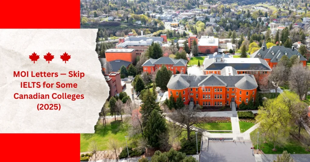 Red And White Canada Day Email Header 1024x536